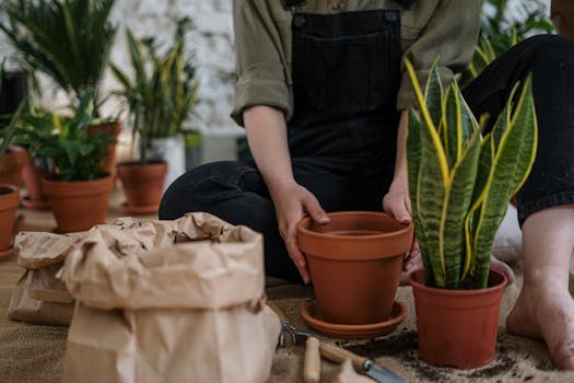 pexels-photo-4505171-4505171 Person engaged in indoor planting with terracotta pots and leafy houseplants.