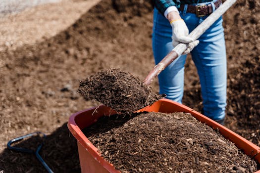 pexels-photo-7728736-7728736 A person shovels compost into a red container, preparing soil for gardening.